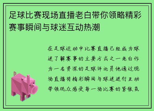 足球比赛现场直播老白带你领略精彩赛事瞬间与球迷互动热潮